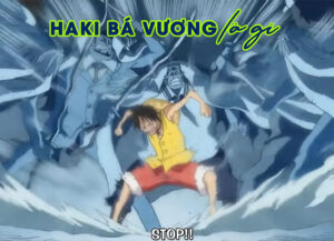 Haki bá vương là gì