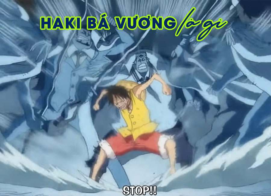 Haki bá vương là gì