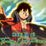 Haki Là Gì? Top 7 Nhân Vật Sử Dụng Haki Mạnh Nhất Trong One Piece Haki là gì trong One Piece