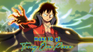 Haki là gì trong One Piece