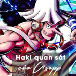 Haki Quan Sát của Usopp: Từ "Sợ Hãi" đến "Bậc Thầy" Haki quan sát của Usopp