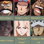 Ý Nghĩa Chữ D Trong One Piece Và Những Nhân Vật Sở Hữu Những người có chữ D trong One Piece