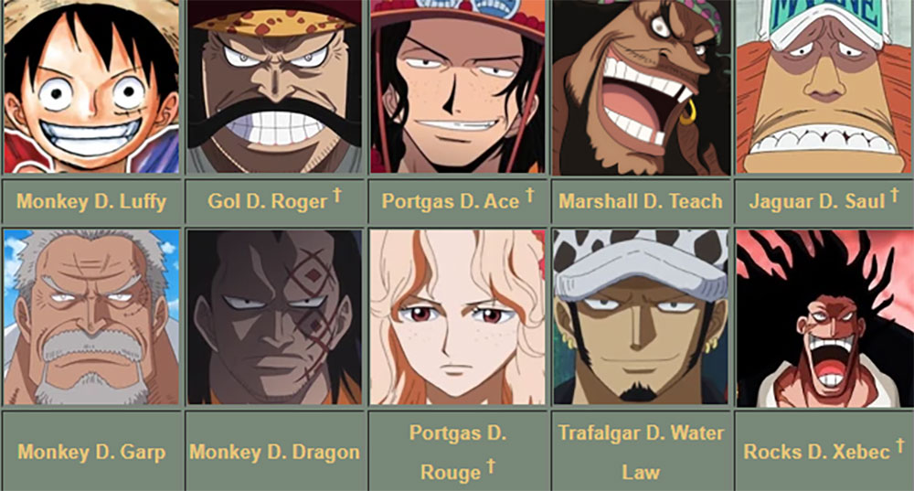 Những người có chữ D trong One Piece