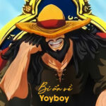 Bí ẩn về Yoyboy