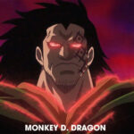 Monkey D. Dragon: Người cha bí ẩn của Luffy Monkey D. Dragon