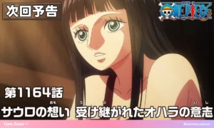 Nico Robin – ý chí Ohara trong One Piece tập 1164